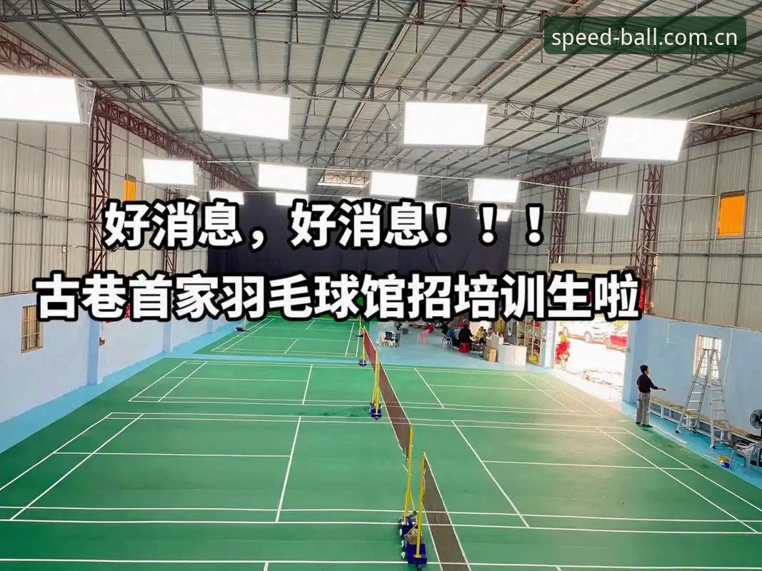 揭秘球速体育平台注册流程与下载背后的真相：高效入门的实用指南