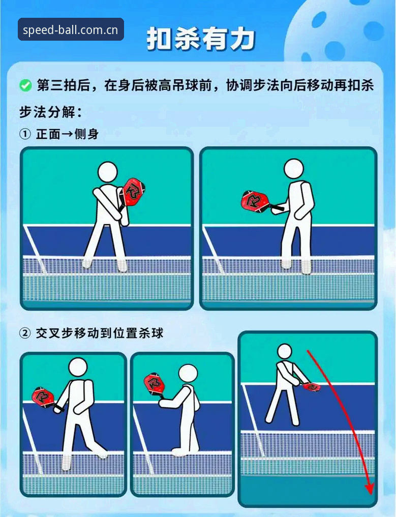 球速体育平台深度评测：新手入门与安装全流程指南